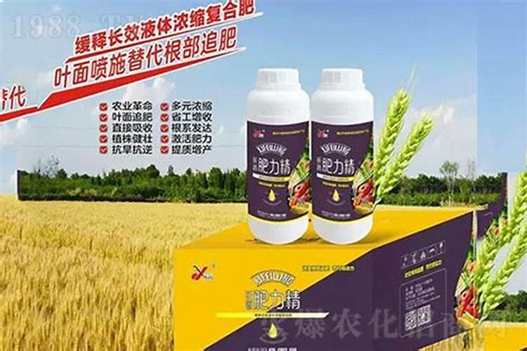 想要果实快速膨大用什么水溶肥好