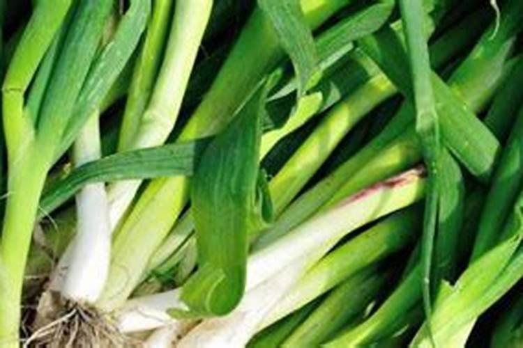大蒜追肥用什么肥料好？