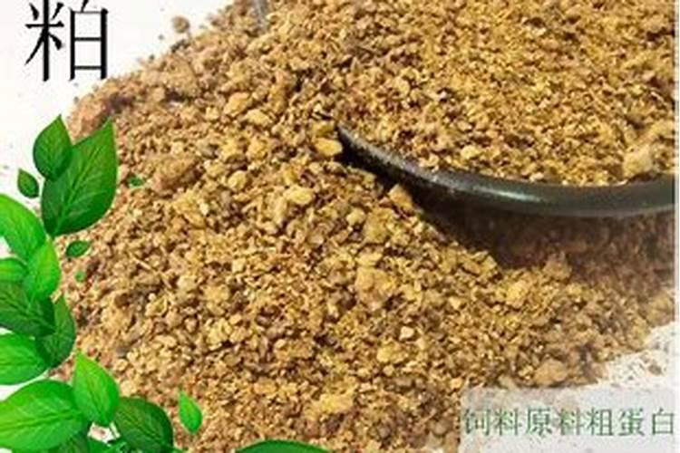 氮肥是什么肥