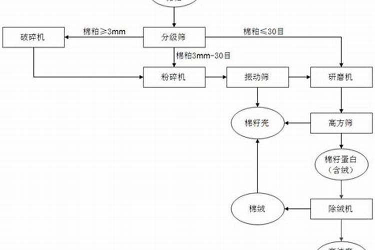 什么是有机肥和氮肥
