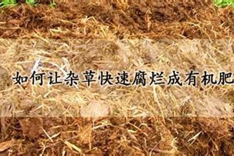 怎么快速让杂草变肥料