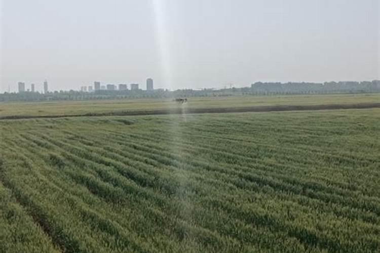 小麦追肥一亩地多少个氮肥就够用