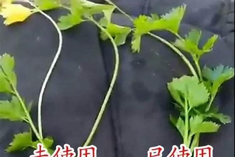 脲铵氮肥作用
