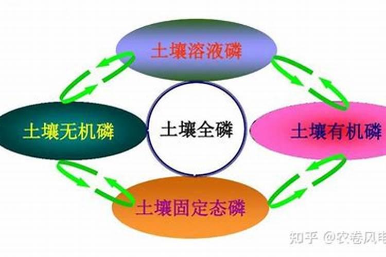 什么是磷肥 天然的磷钾肥有哪些