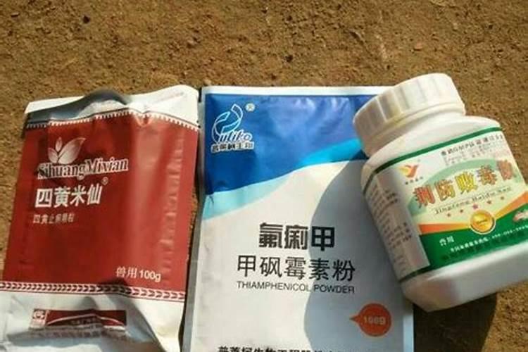 黄果人工栽培