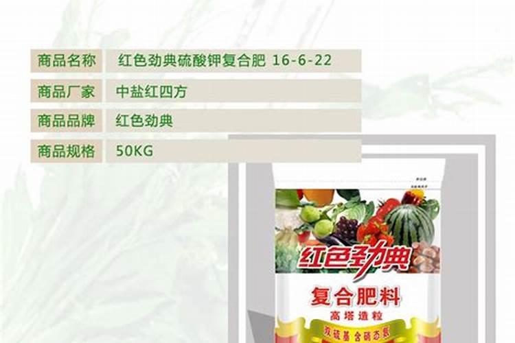 水稻种植需要注意什么 晚稻后期管理的措施有什么