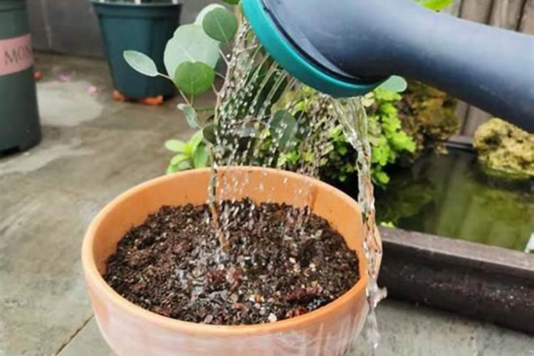水溶肥生产原料有哪些