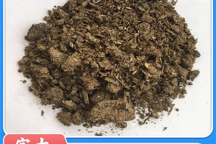 什么肥料可以治盐碱地