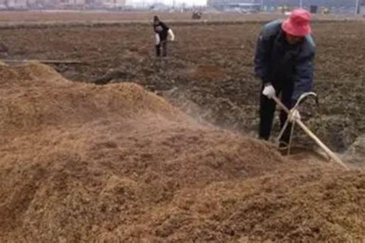 土地贫瘠了用什么肥料