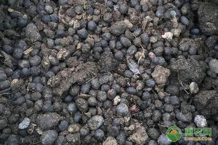 矿源黄腐酸钾为什么要单独使用呢 附使用方法