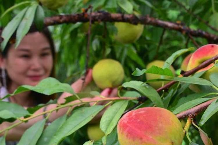 怎样在外观区分氮、磷、钾肥？？？
