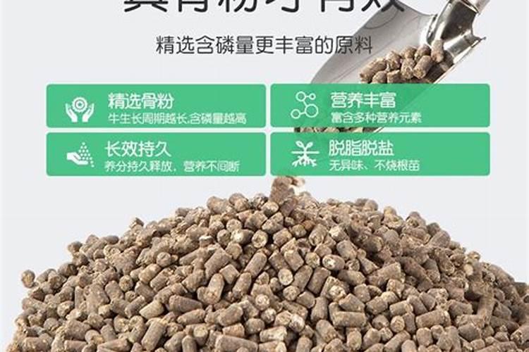 骨粉适合什么蔬菜当肥料