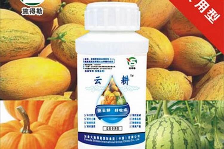 深受青睐的橙子,如何正确施硼肥？