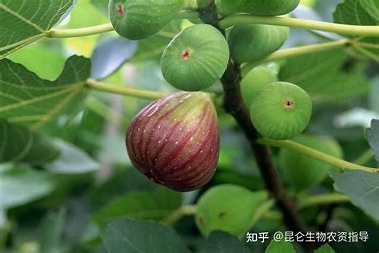 如何去除土壤中的盐咸
