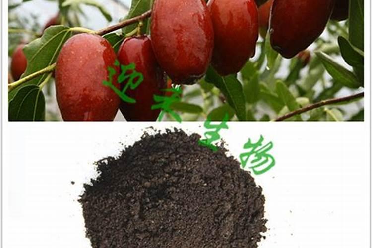 20个氮20个磷5个钾的掺混肥种麦子够用吗？