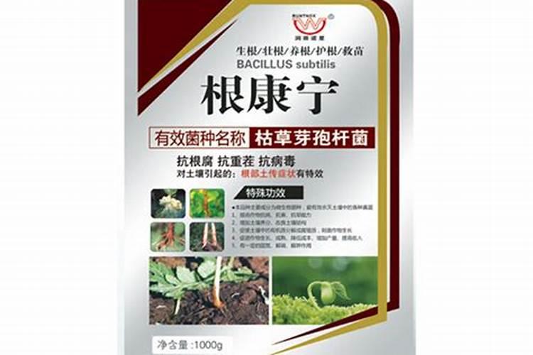 润康成分中主要成分是什么？