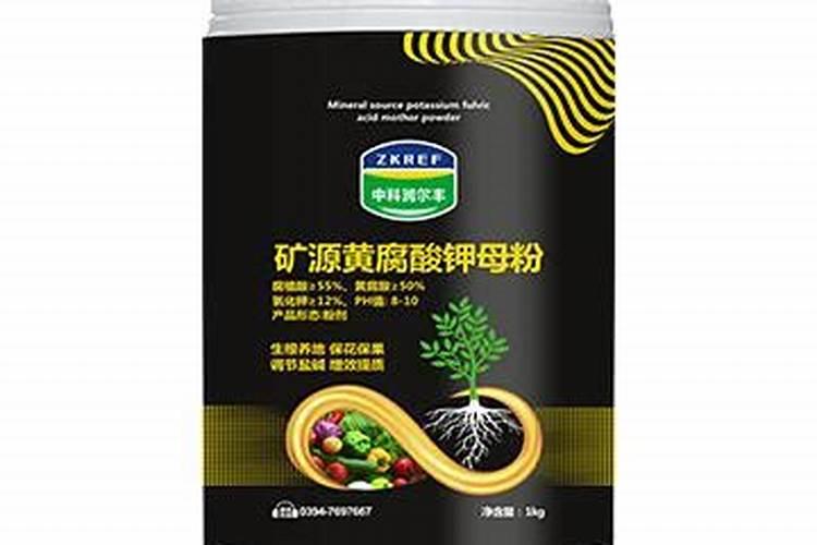 荷兰豆始花期怎样施肥