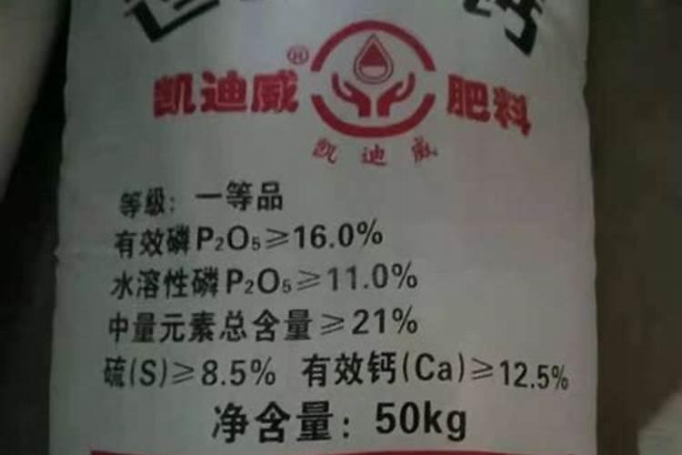胡萝卜种植技术及管理