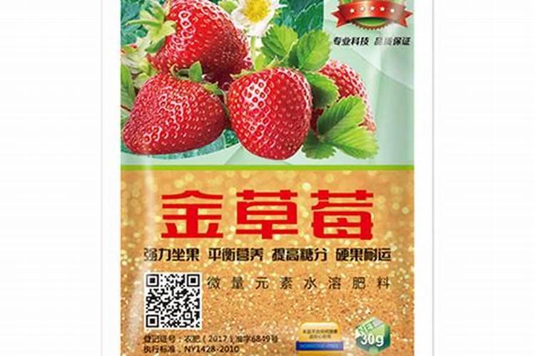 种植草莓需要哪些肥料