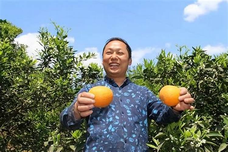 什么时候使用果树叶面肥效果最好 需要注意问题有