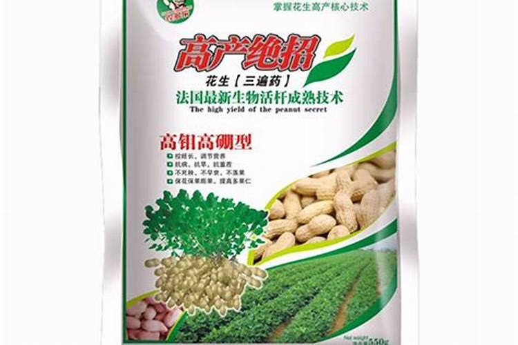 夏天如何养护芦荟叶片水嫩