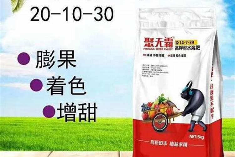 水培绿萝用什么营养液