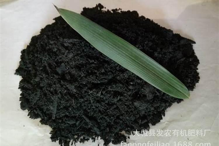 磷肥是什么肥料,磷肥有哪些,磷肥的效果