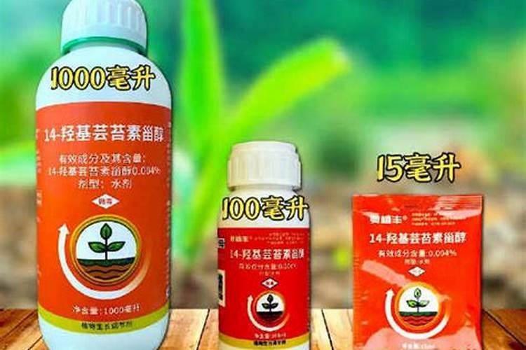芸苔素内酯作用特点是什么？
