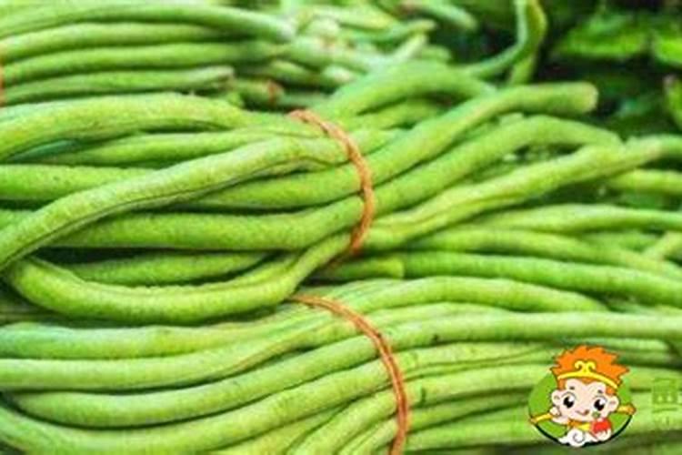 种豆角用什么肥料好