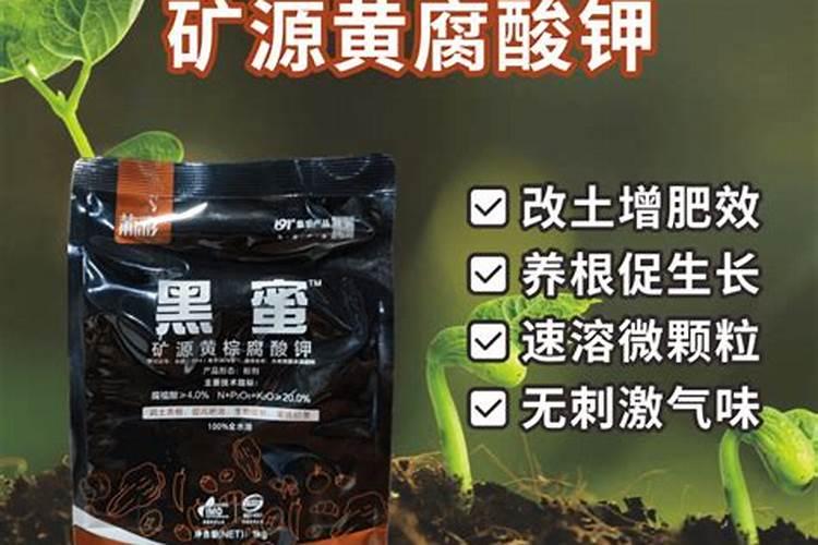 捕蝇草多久浇一次水