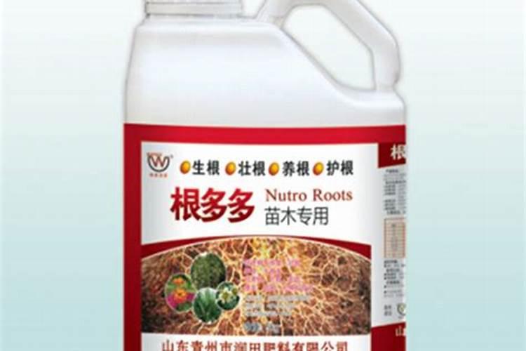根多多可以浇老桩吗