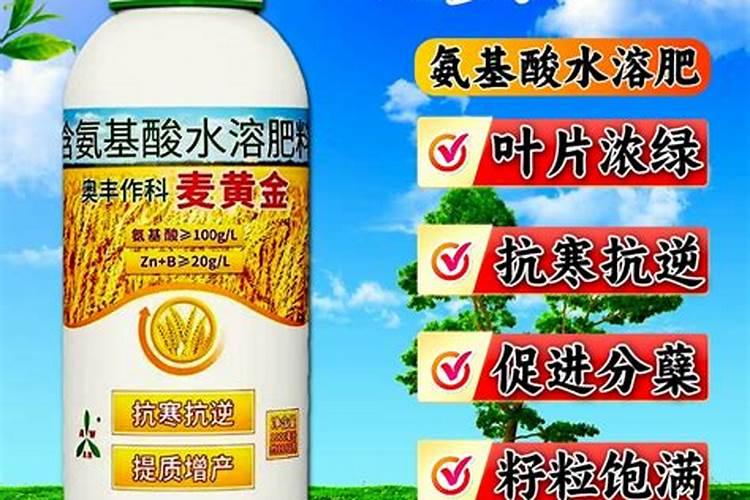 玉米用什么叶面肥效果好？
