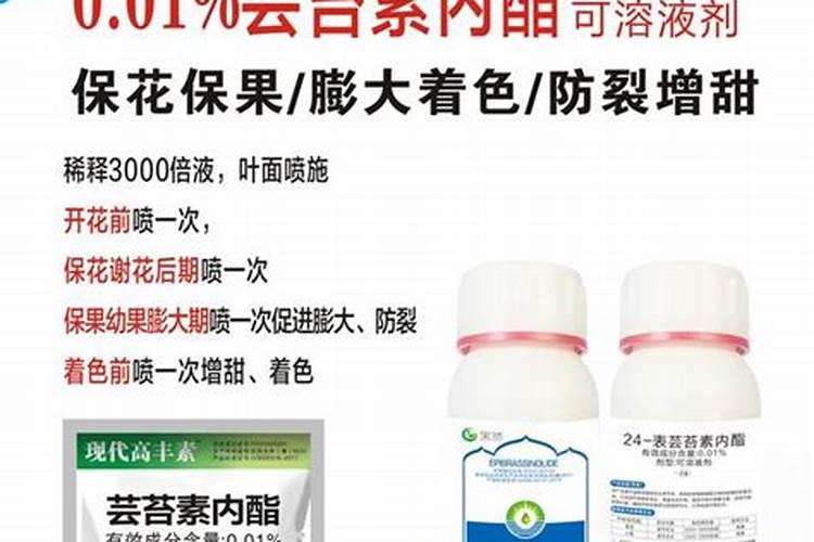 昆明周边摘草莓的地方有哪些