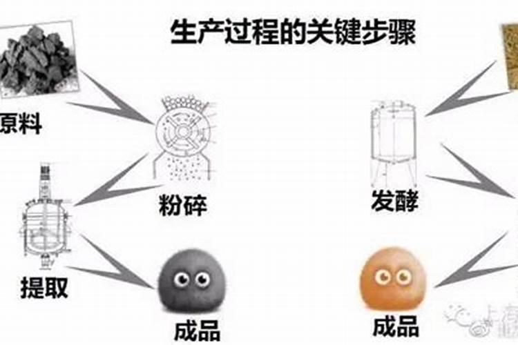 桃树秋季施肥用什么肥料