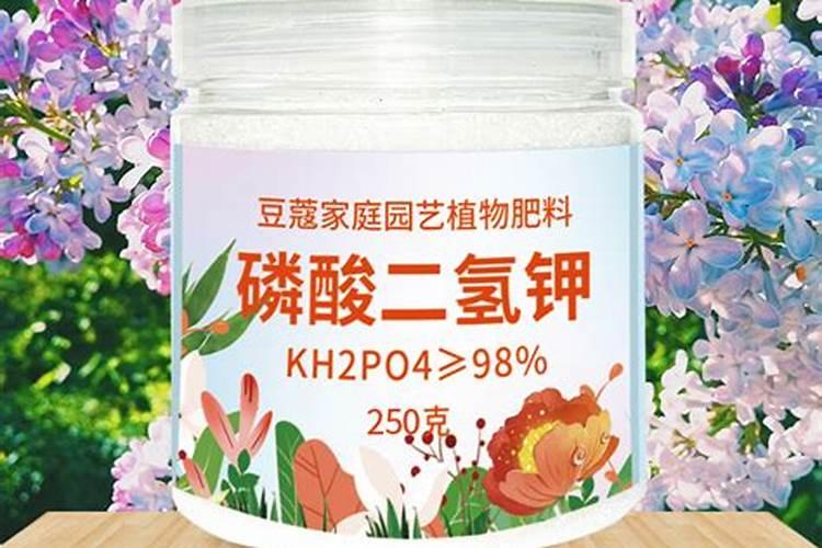 大蒜水可以浇花吗