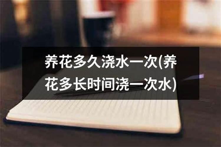 龙船花下山桩怎么养护