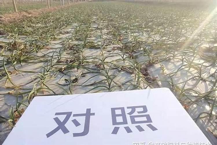十大品牌氨基酸水溶肥有哪些