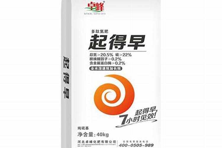 孔雀竹芋能在屋里养吗