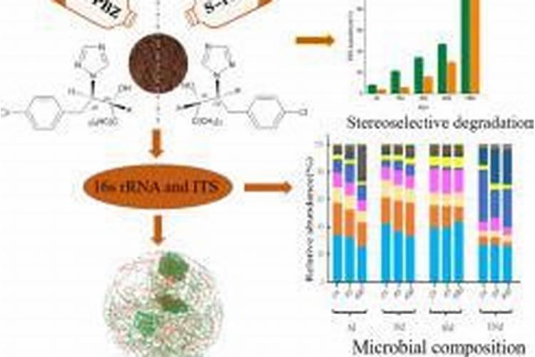 解除多效唑药害最快的方法是什么