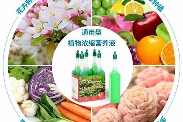 磷钾肥的成分及作用