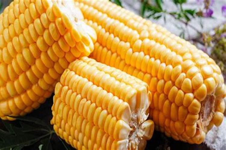 叶面肥在玉米多高的时候喷好？10多厘米高时可以喷吗？