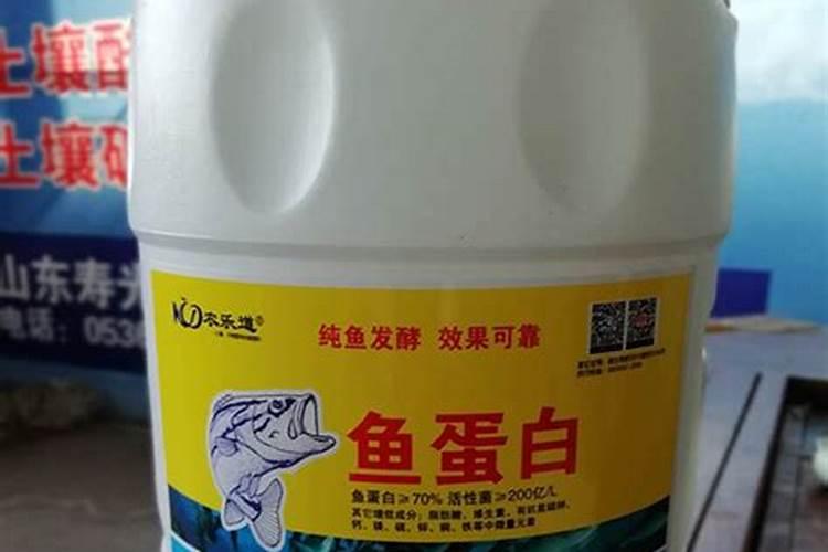 国内有进口日本鱼蛋白吗