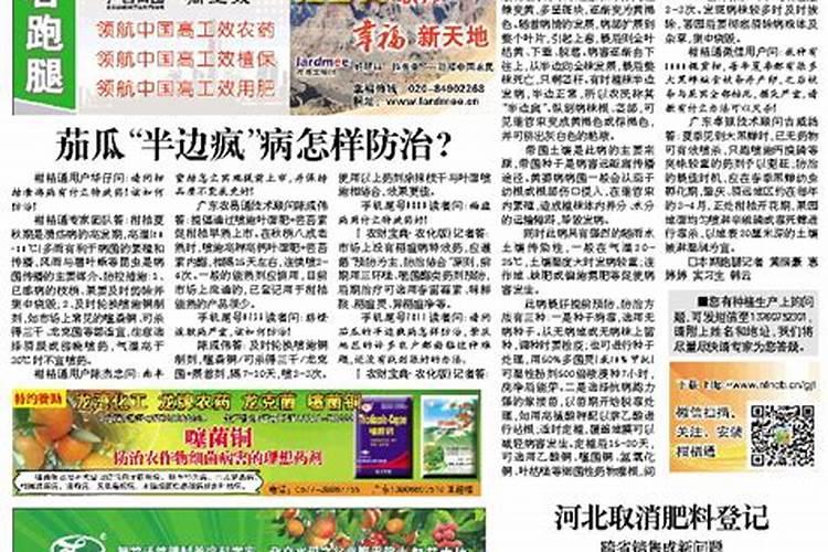 在南方什么季节适合种西瓜？