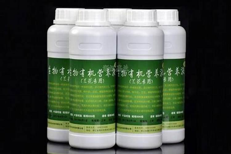 夏季香菜怎样防止抽苔