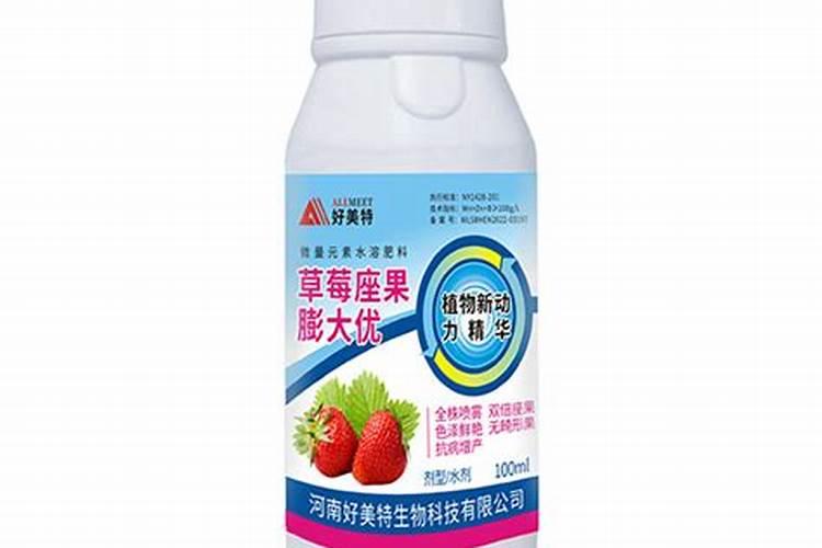草莓施肥用什么肥料好