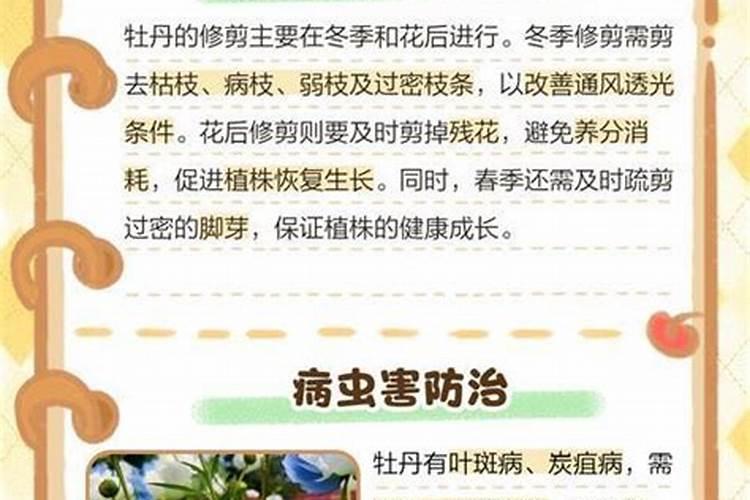 牡丹花春天什么时候施肥