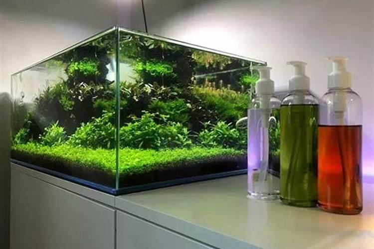 氨基酸叶面肥果树涂杆枝术怎么操作？