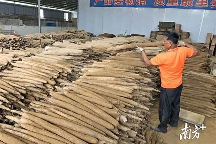 蔬菜灾后恢复生产技术要点有哪些？应采取哪些有效救灾措施