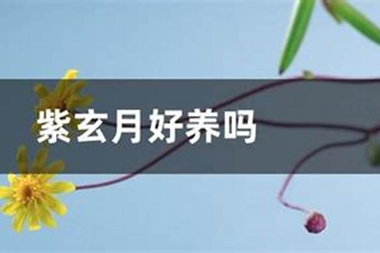 腐殖酸钾从2000到20000多一吨的都有,业务员说好的腐植酸钾分子量越小...