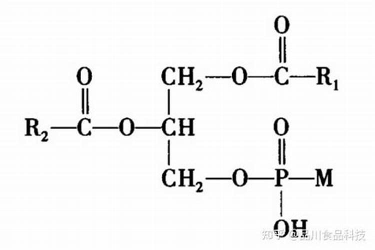 种油菜籽用什么肥料最好